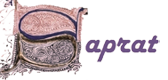 SAPRAT